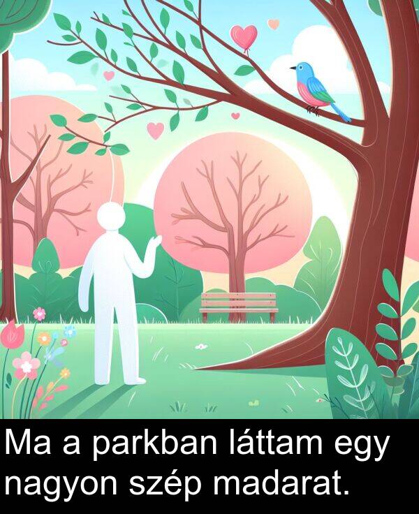 madarat: Ma a parkban láttam egy nagyon szép madarat.