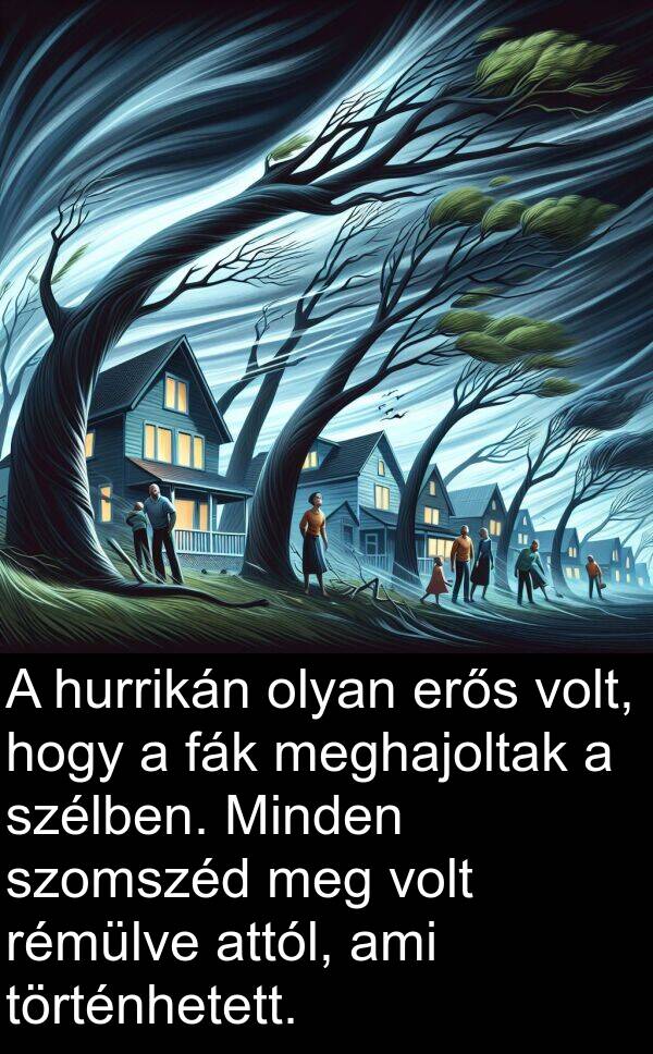 történhetett: A hurrikán olyan erős volt, hogy a fák meghajoltak a szélben. Minden szomszéd meg volt rémülve attól, ami történhetett.