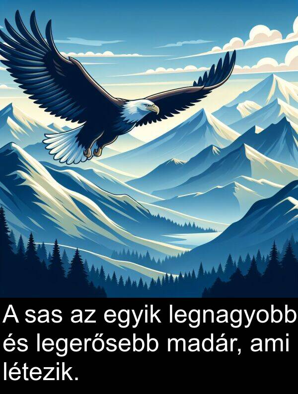 egyik: A sas az egyik legnagyobb és legerősebb madár, ami létezik.