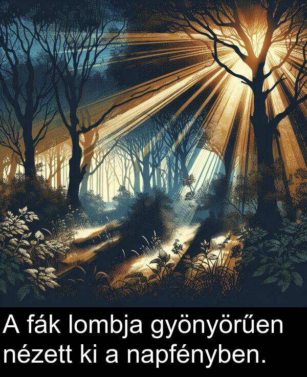 fák: A fák lombja gyönyörűen nézett ki a napfényben.