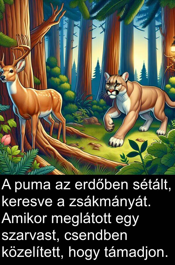 csendben: A puma az erdőben sétált, keresve a zsákmányát. Amikor meglátott egy szarvast, csendben közelített, hogy támadjon.