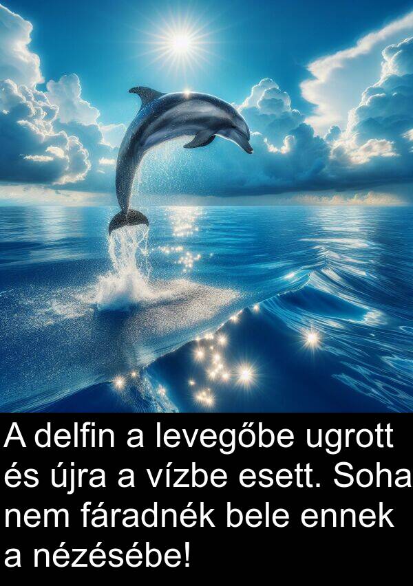 bele: A delfin a levegőbe ugrott és újra a vízbe esett. Soha nem fáradnék bele ennek a nézésébe!