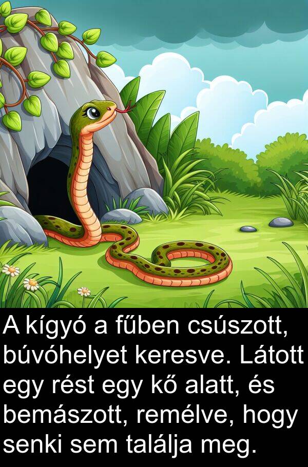 remélve: A kígyó a fűben csúszott, búvóhelyet keresve. Látott egy rést egy kő alatt, és bemászott, remélve, hogy senki sem találja meg.