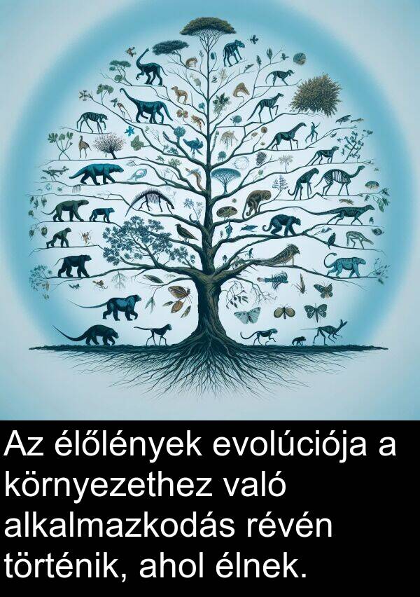 való: Az élőlények evolúciója a környezethez való alkalmazkodás révén történik, ahol élnek.