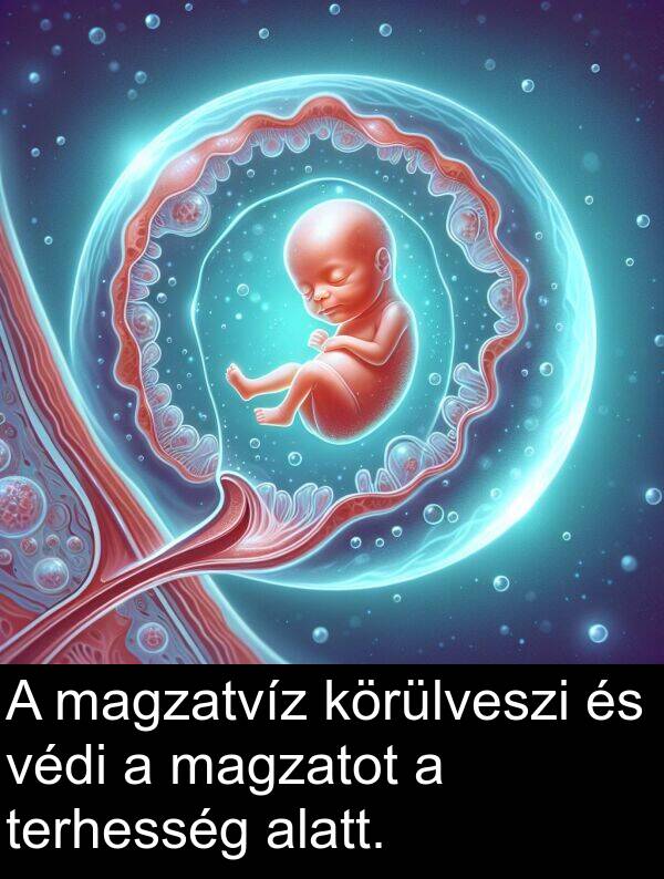 magzatot: A magzatvíz körülveszi és védi a magzatot a terhesség alatt.