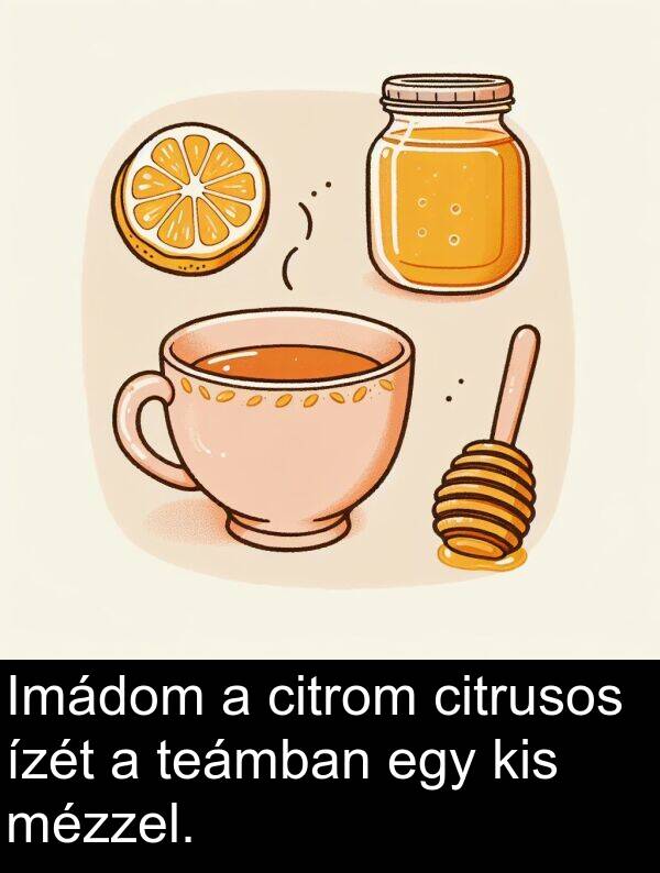 citrom: Imádom a citrom citrusos ízét a teámban egy kis mézzel.