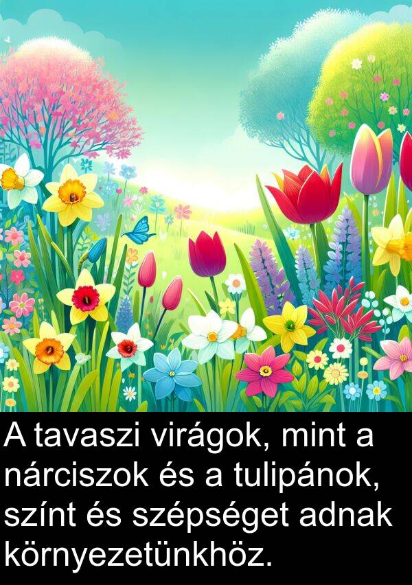 adnak: A tavaszi virágok, mint a nárciszok és a tulipánok, színt és szépséget adnak környezetünkhöz.