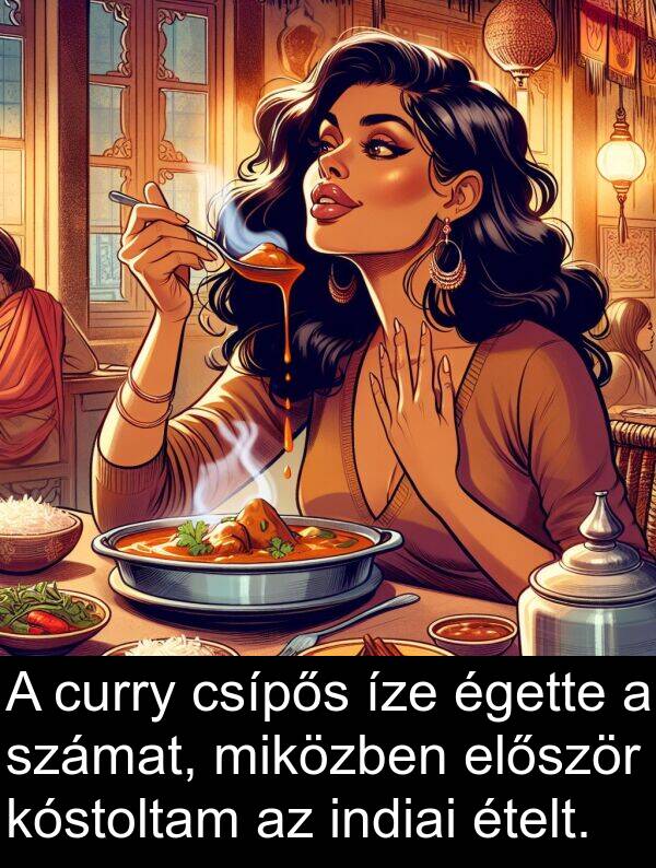 égette: A curry csípős íze égette a számat, miközben először kóstoltam az indiai ételt.