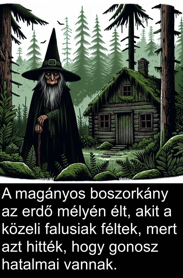 erdő: A magányos boszorkány az erdő mélyén élt, akit a közeli falusiak féltek, mert azt hitték, hogy gonosz hatalmai vannak.