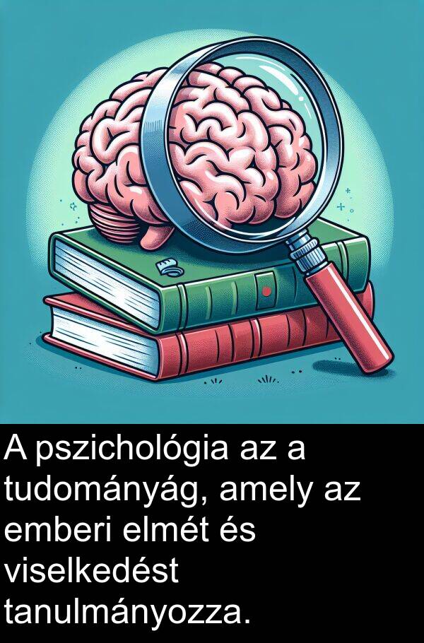 tudományág: A pszichológia az a tudományág, amely az emberi elmét és viselkedést tanulmányozza.