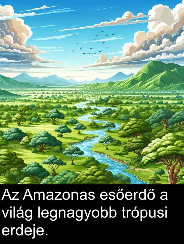 trópusi: Az Amazonas esőerdő a világ legnagyobb trópusi erdeje.