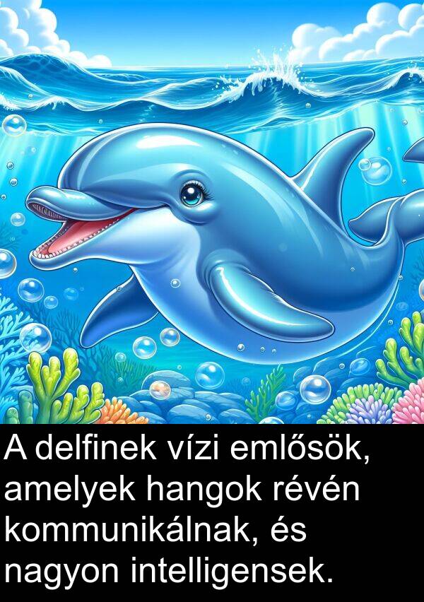 delfinek: A delfinek vízi emlősök, amelyek hangok révén kommunikálnak, és nagyon intelligensek.