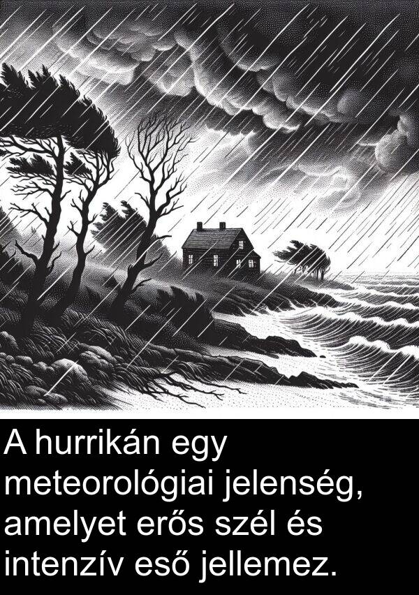 jelenség: A hurrikán egy meteorológiai jelenség, amelyet erős szél és intenzív eső jellemez.