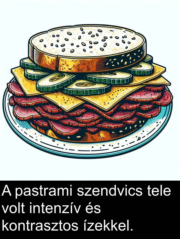 tele: A pastrami szendvics tele volt intenzív és kontrasztos ízekkel.