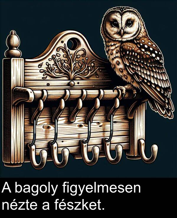 bagoly: A bagoly figyelmesen nézte a fészket.