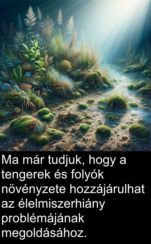 élelmiszerhiány: Ma már tudjuk, hogy a tengerek és folyók növényzete hozzájárulhat az élelmiszerhiány problémájának megoldásához.