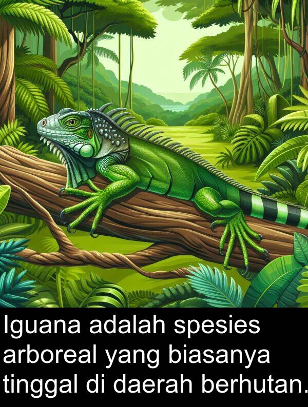 daerah: Iguana adalah spesies arboreal yang biasanya tinggal di daerah berhutan.