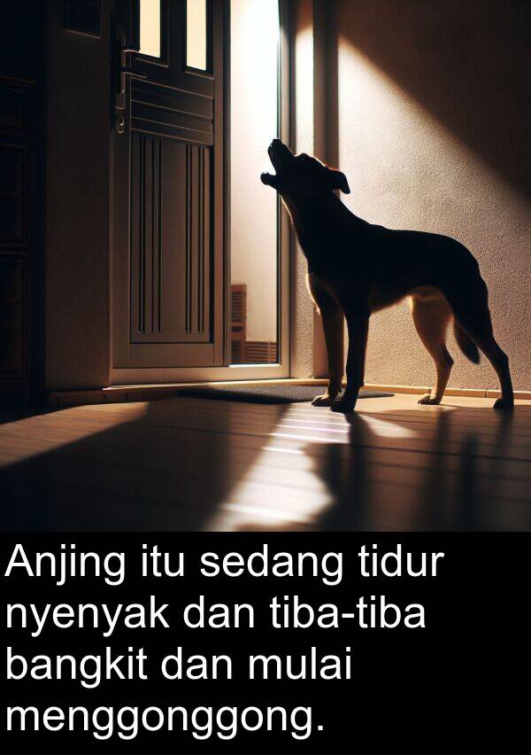 nyenyak: Anjing itu sedang tidur nyenyak dan tiba-tiba bangkit dan mulai menggonggong.