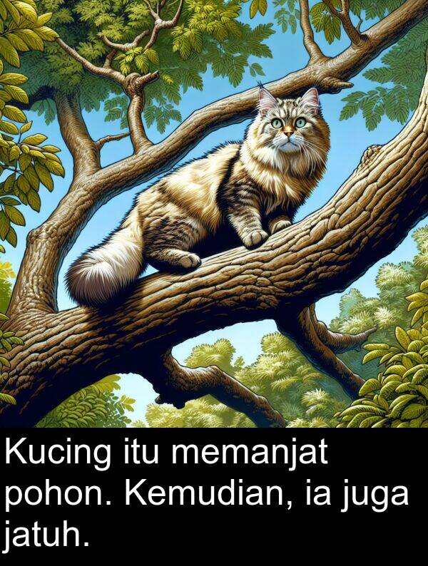 jatuh: Kucing itu memanjat pohon. Kemudian, ia juga jatuh.