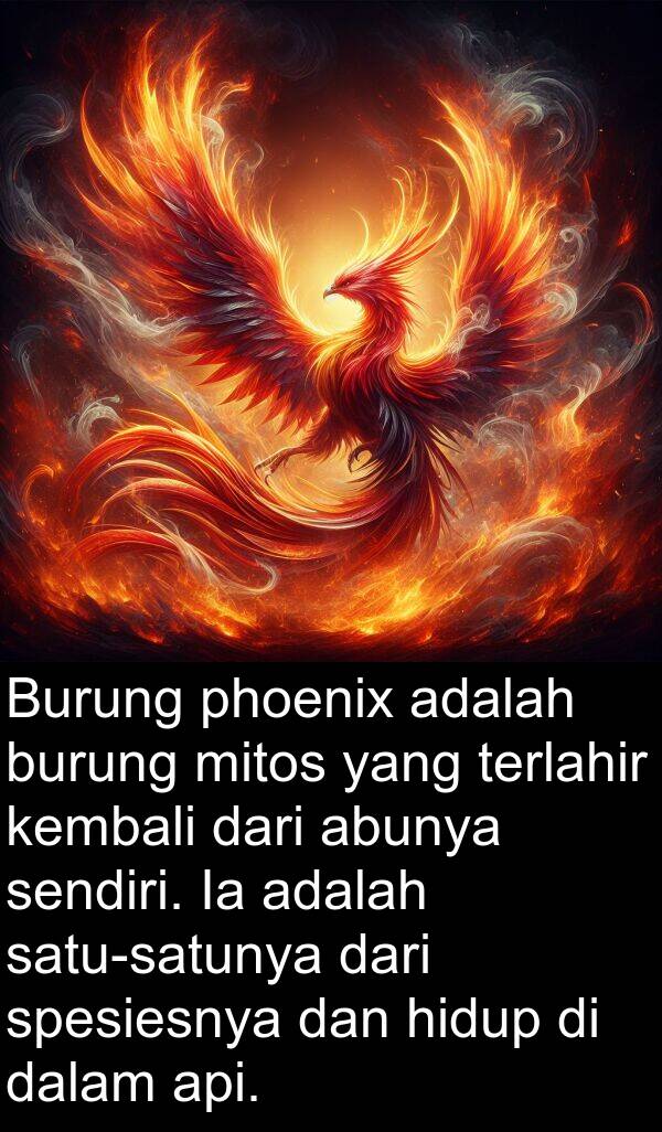 kembali: Burung phoenix adalah burung mitos yang terlahir kembali dari abunya sendiri. Ia adalah satu-satunya dari spesiesnya dan hidup di dalam api.