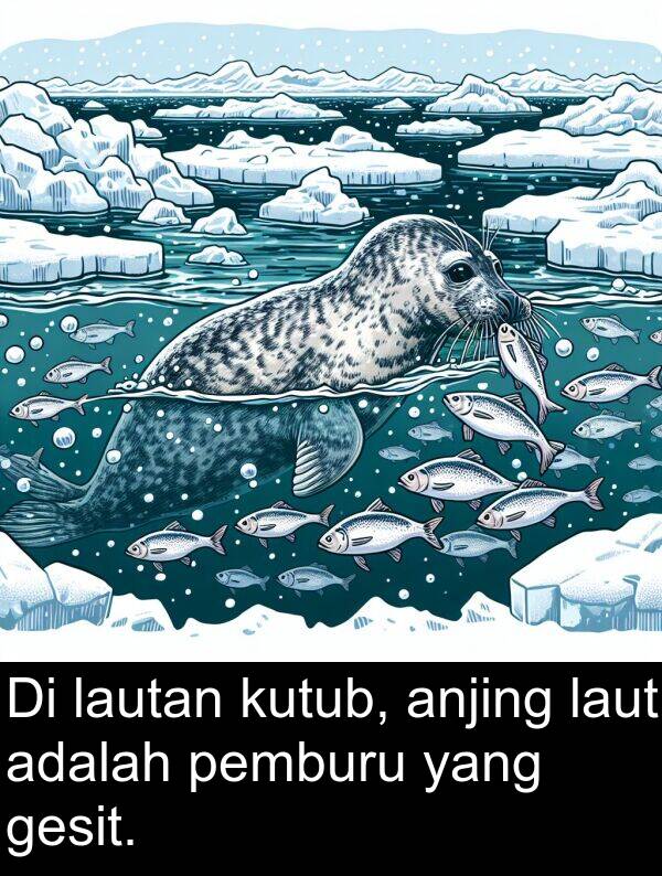 laut: Di lautan kutub, anjing laut adalah pemburu yang gesit.