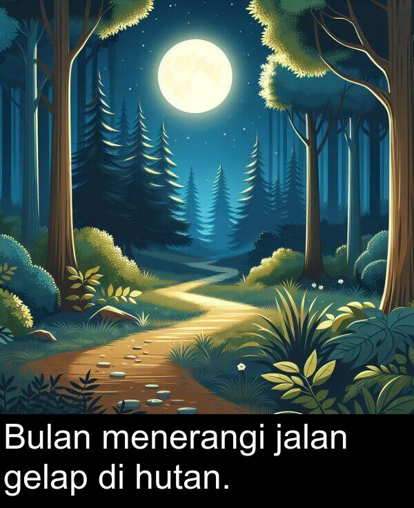 hutan: Bulan menerangi jalan gelap di hutan.