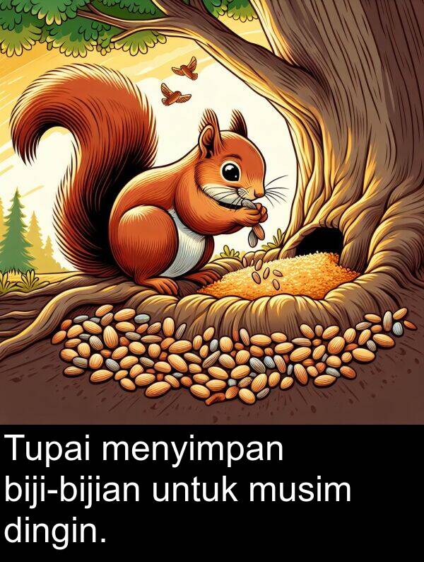 untuk: Tupai menyimpan biji-bijian untuk musim dingin.