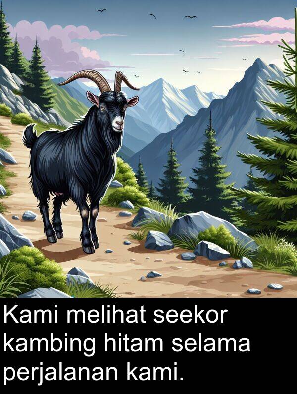 kambing: Kami melihat seekor kambing hitam selama perjalanan kami.