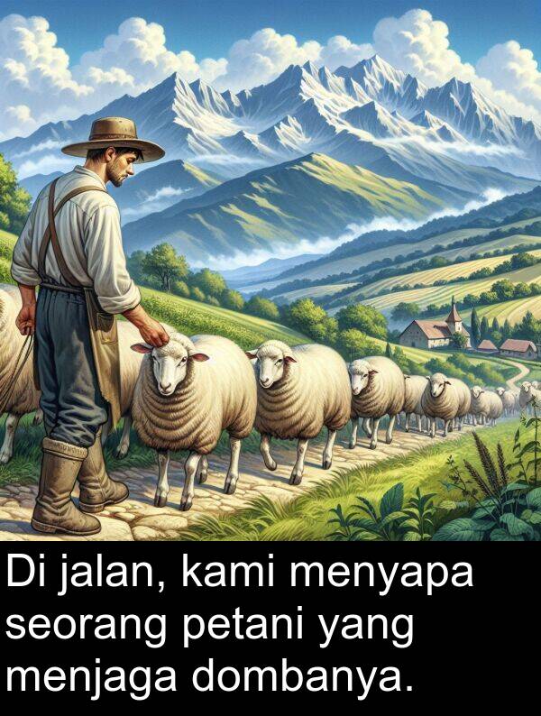 kami: Di jalan, kami menyapa seorang petani yang menjaga dombanya.