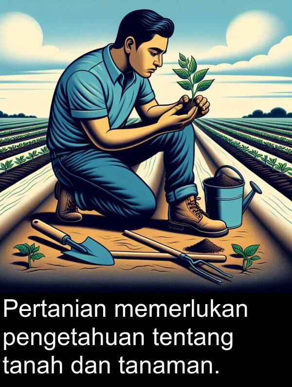 pengetahuan: Pertanian memerlukan pengetahuan tentang tanah dan tanaman.