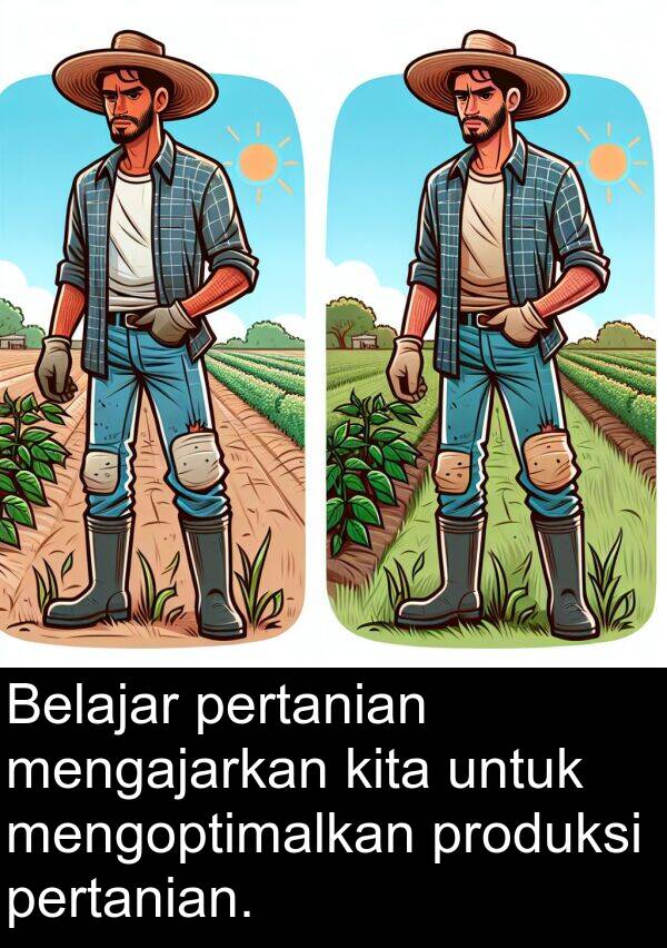 produksi: Belajar pertanian mengajarkan kita untuk mengoptimalkan produksi pertanian.