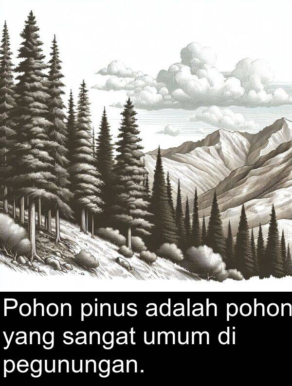 pegunungan: Pohon pinus adalah pohon yang sangat umum di pegunungan.