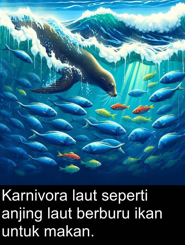 laut: Karnivora laut seperti anjing laut berburu ikan untuk makan.