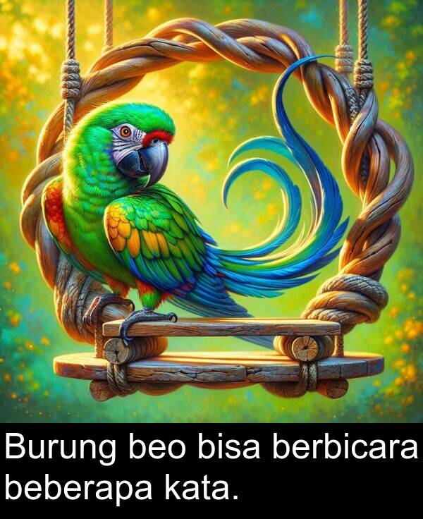 kata: Burung beo bisa berbicara beberapa kata.