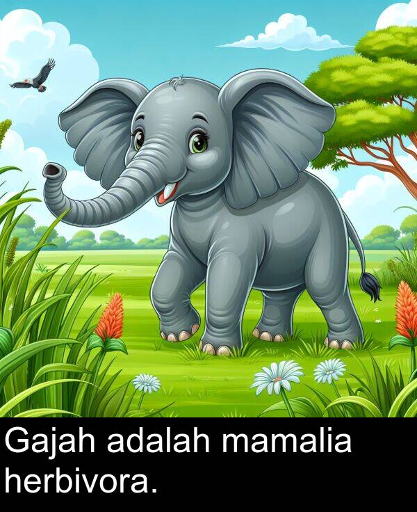 herbivora: Gajah adalah mamalia herbivora.