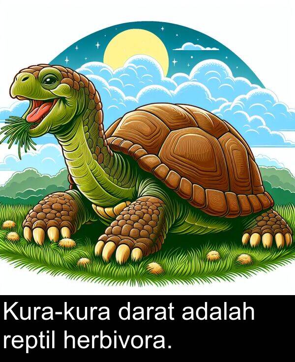 herbivora: Kura-kura darat adalah reptil herbivora.