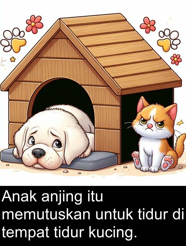 tempat: Anak anjing itu memutuskan untuk tidur di tempat tidur kucing.