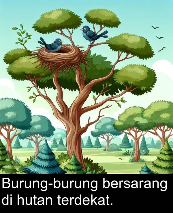 hutan: Burung-burung bersarang di hutan terdekat.