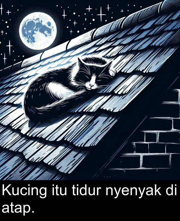 nyenyak: Kucing itu tidur nyenyak di atap.