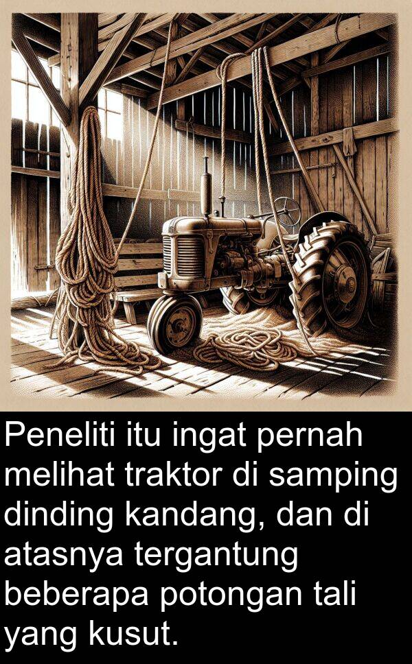 kandang: Peneliti itu ingat pernah melihat traktor di samping dinding kandang, dan di atasnya tergantung beberapa potongan tali yang kusut.