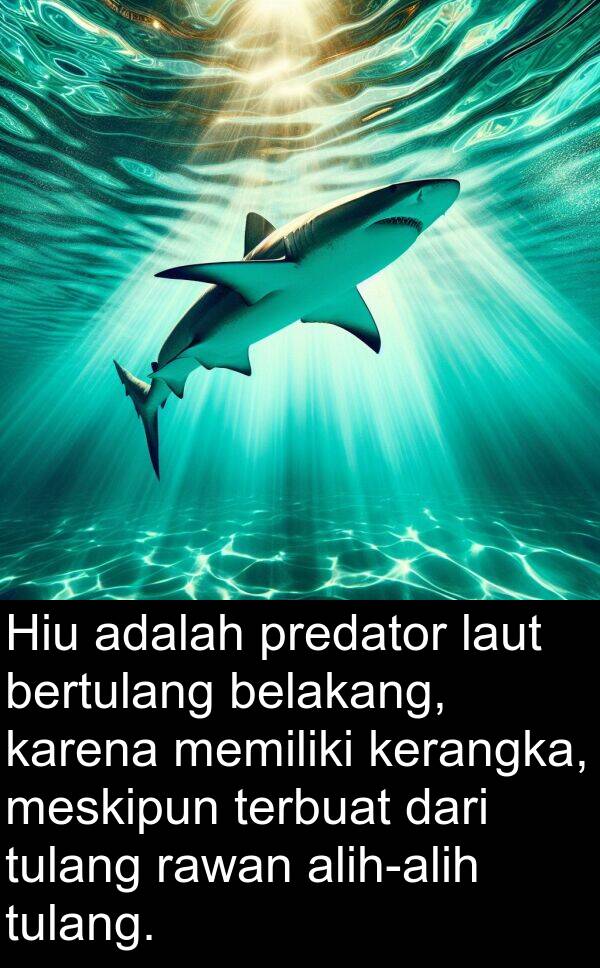 rawan: Hiu adalah predator laut bertulang belakang, karena memiliki kerangka, meskipun terbuat dari tulang rawan alih-alih tulang.