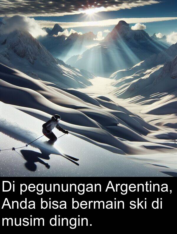 pegunungan: Di pegunungan Argentina, Anda bisa bermain ski di musim dingin.