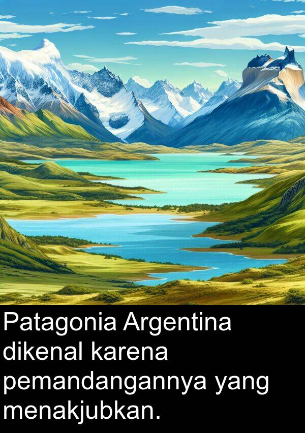 pemandangannya: Patagonia Argentina dikenal karena pemandangannya yang menakjubkan.