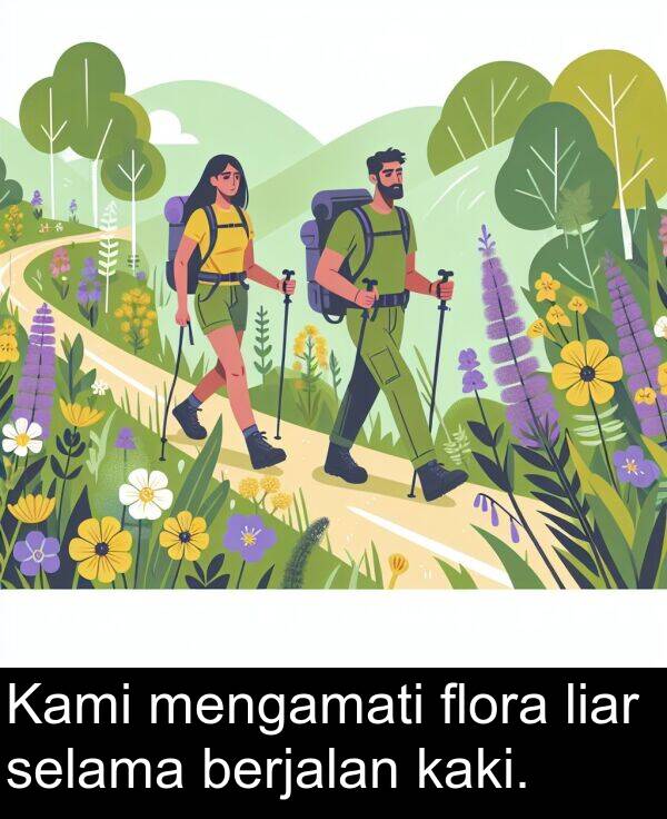 kaki: Kami mengamati flora liar selama berjalan kaki.