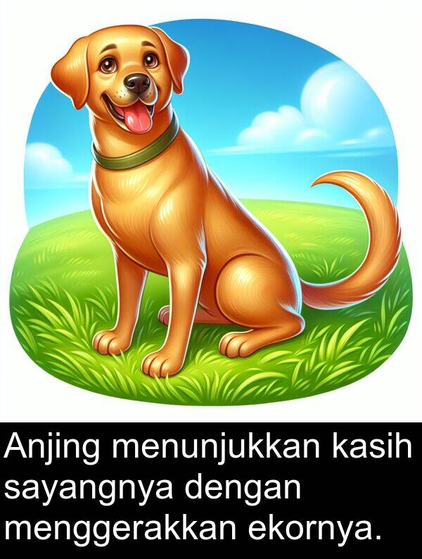 ekornya: Anjing menunjukkan kasih sayangnya dengan menggerakkan ekornya.