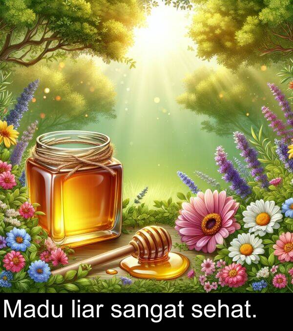 liar: Madu liar sangat sehat.