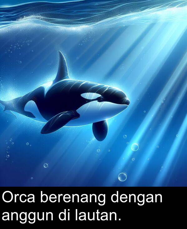 lautan: Orca berenang dengan anggun di lautan.