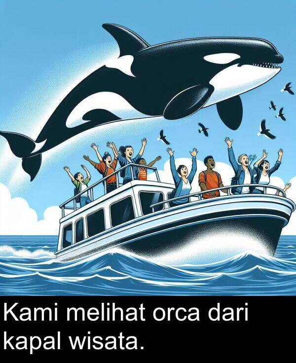 orca: Kami melihat orca dari kapal wisata.