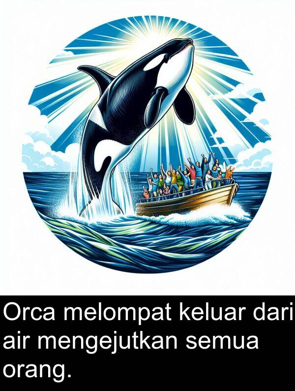 keluar: Orca melompat keluar dari air mengejutkan semua orang.