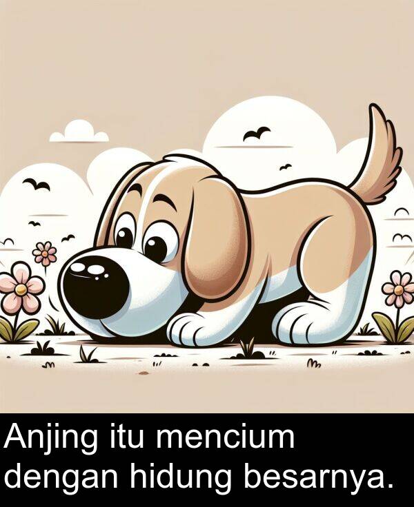 hidung: Anjing itu mencium dengan hidung besarnya.